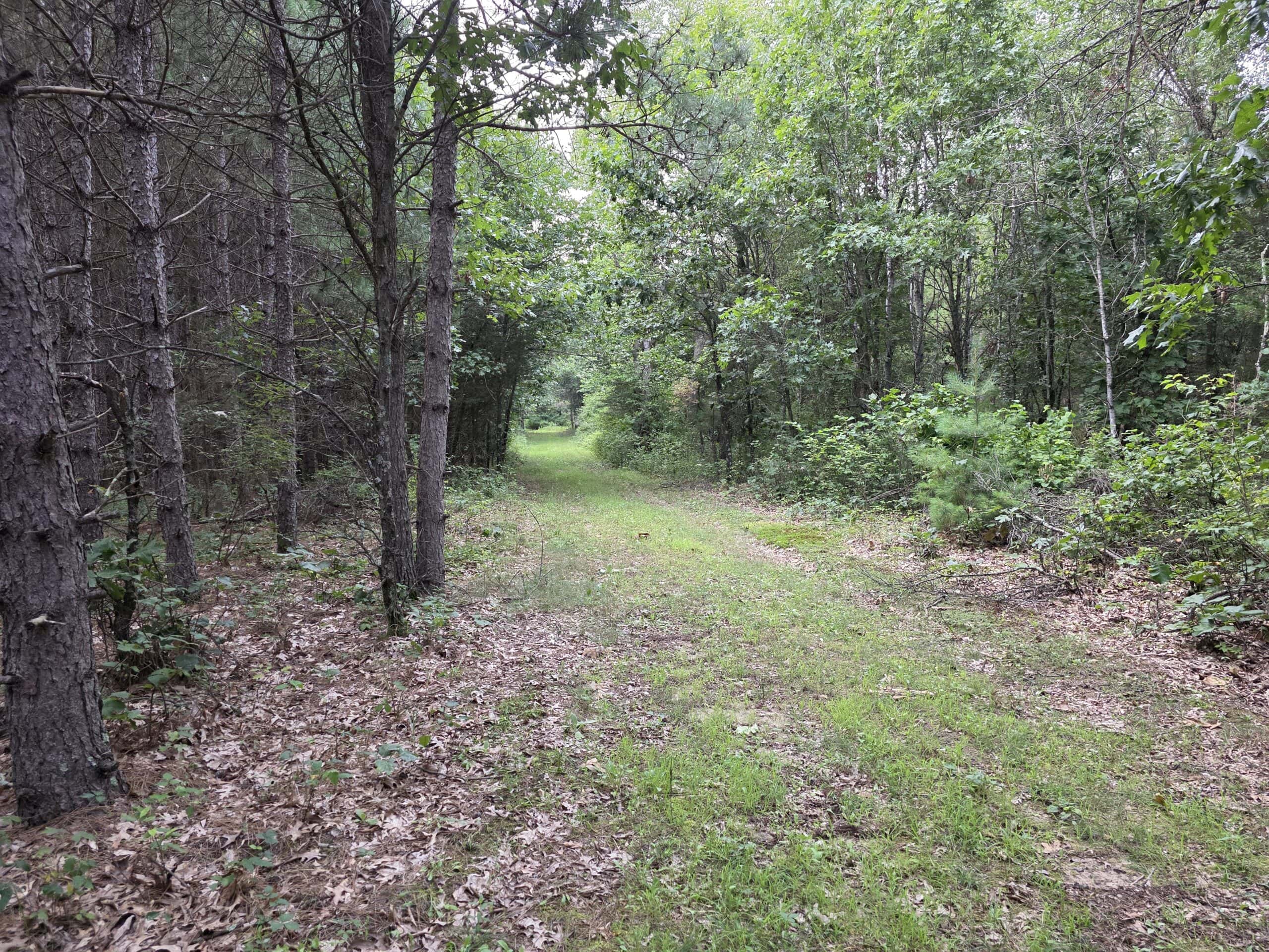 160± acre Monroe County property Located off dead end road,