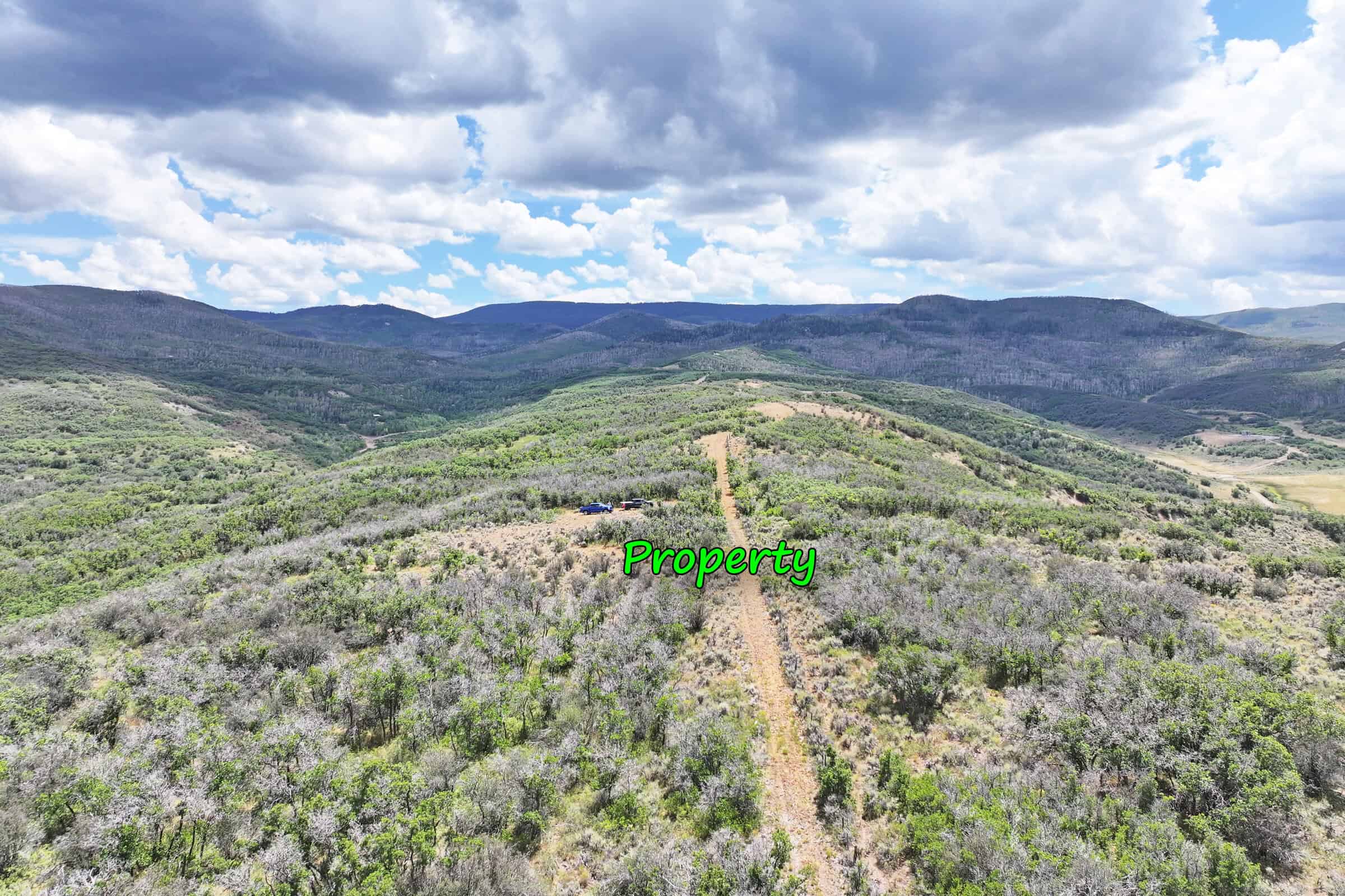 36 Acres in Harrison Creek, Collbran,  CO