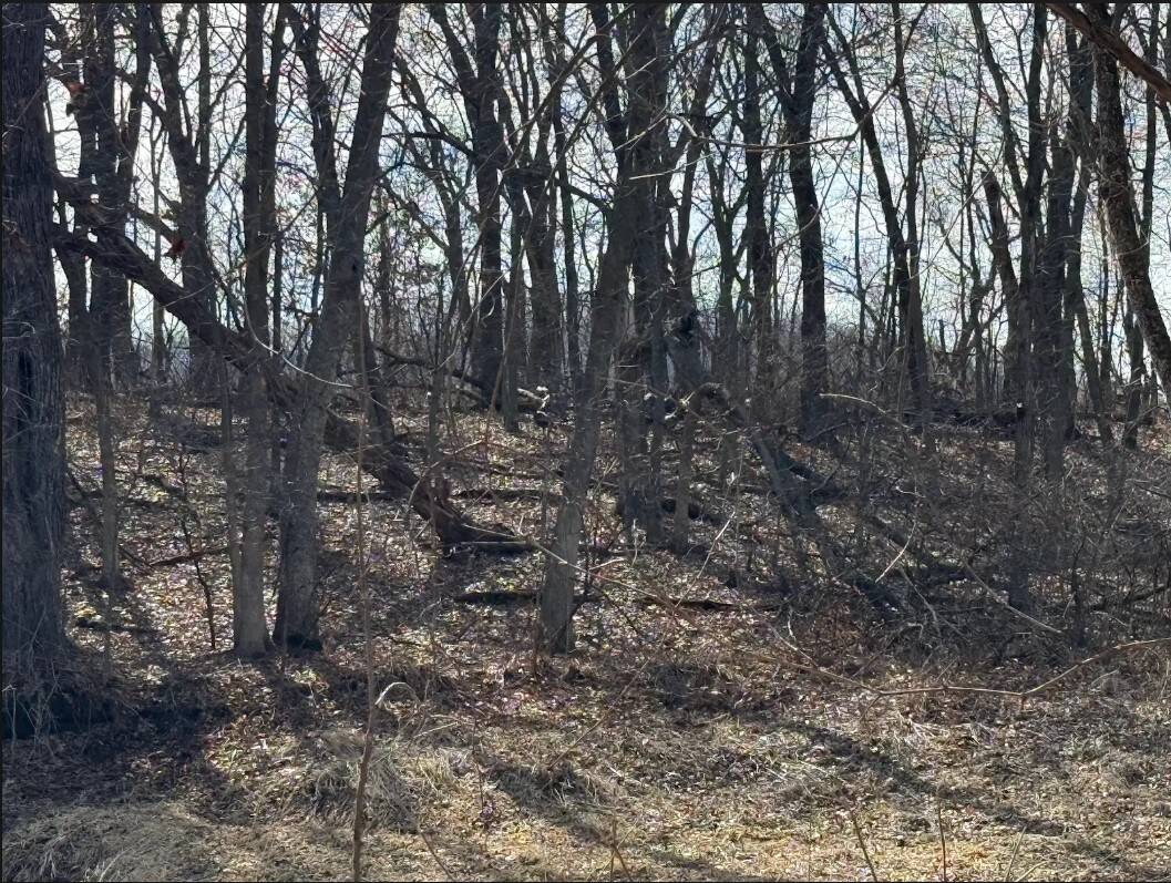 40-Acre Recreational Hunting Tract in Central Monroe County
