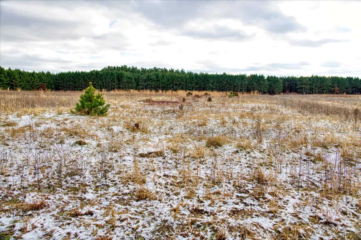 160± acre Monroe County property Located off dead end road,