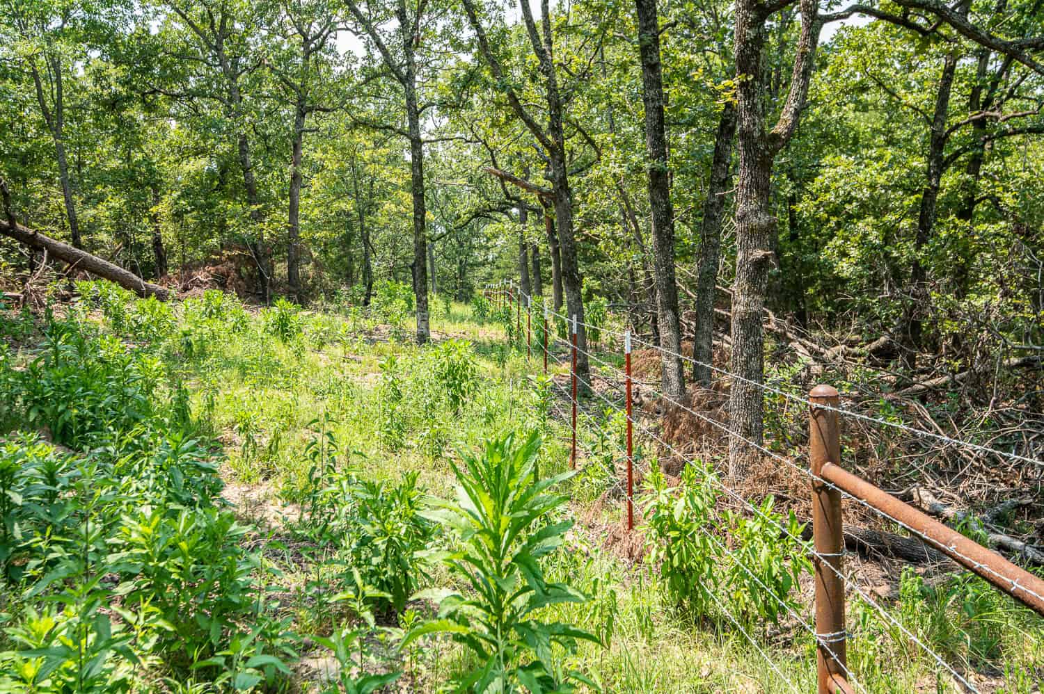 Catcher Ranch: 785 ± Acre Conservation Ranch & Trophy Whitetail Hunting Property Near Stuart, Oklahoma