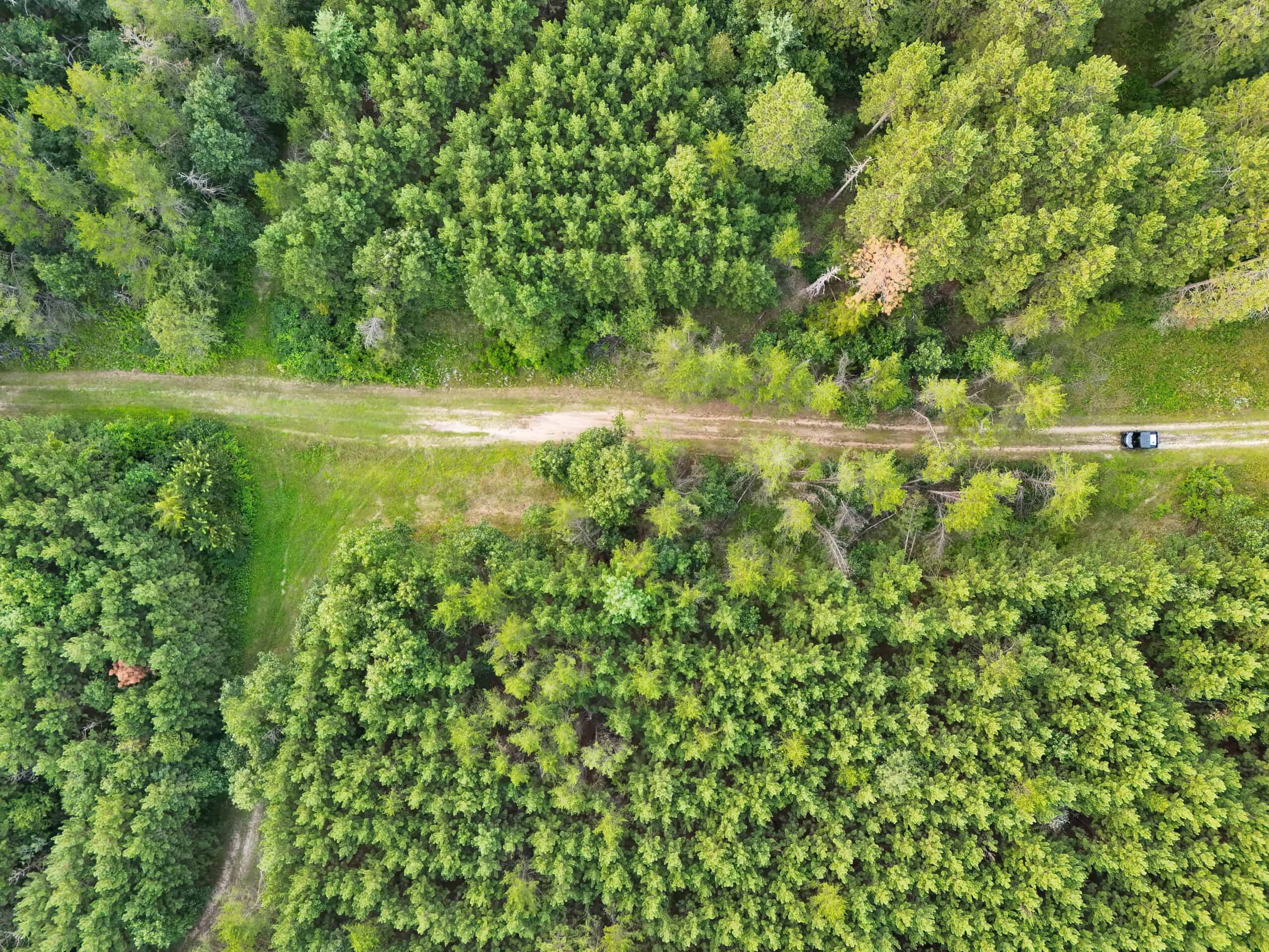 160± acre Monroe County property Located off dead end road,