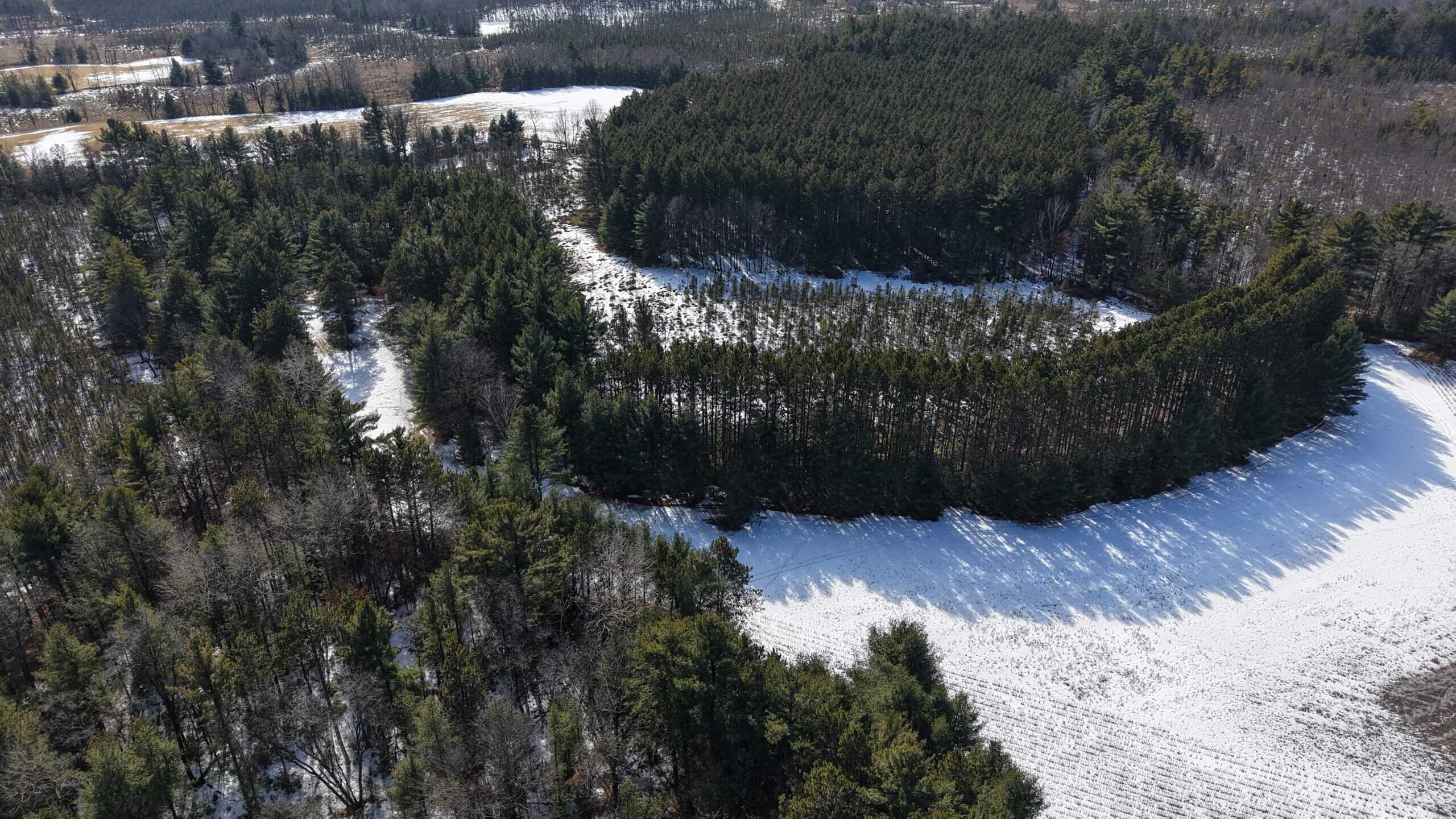 Portage County Wisconsin 80 Acres of Hunting Land for Sale