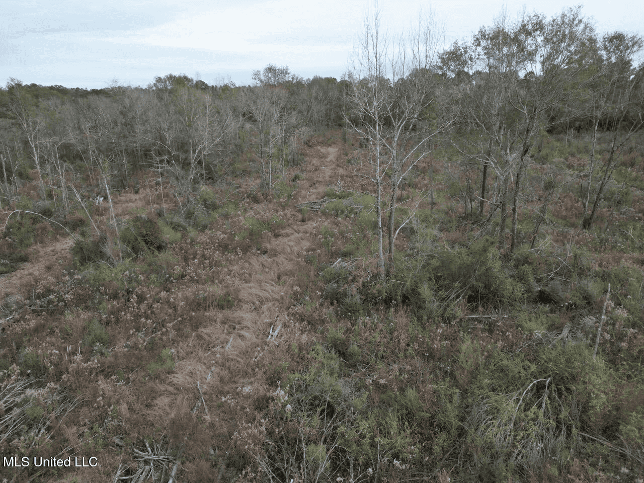 36 Acres in Pike County, Mississippi – Scenic Rural Retreat