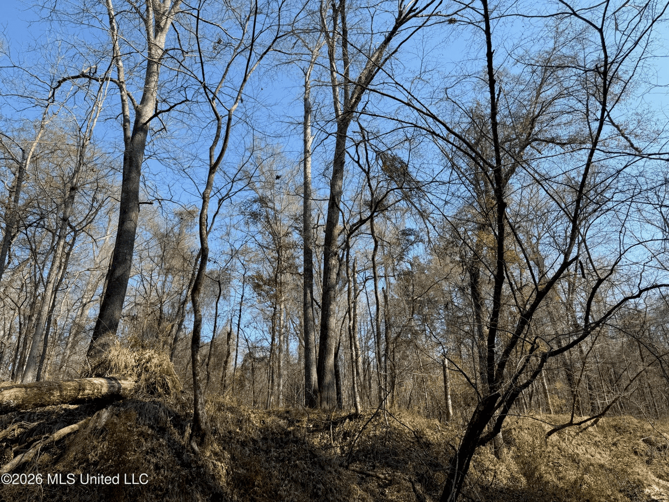 Land for Sale in Simpson County