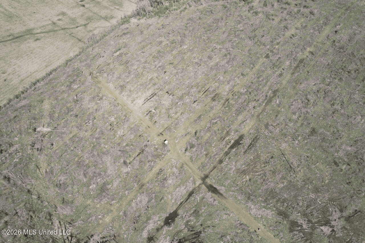 123± Acres Centreville MS on Chance Rd Amite County