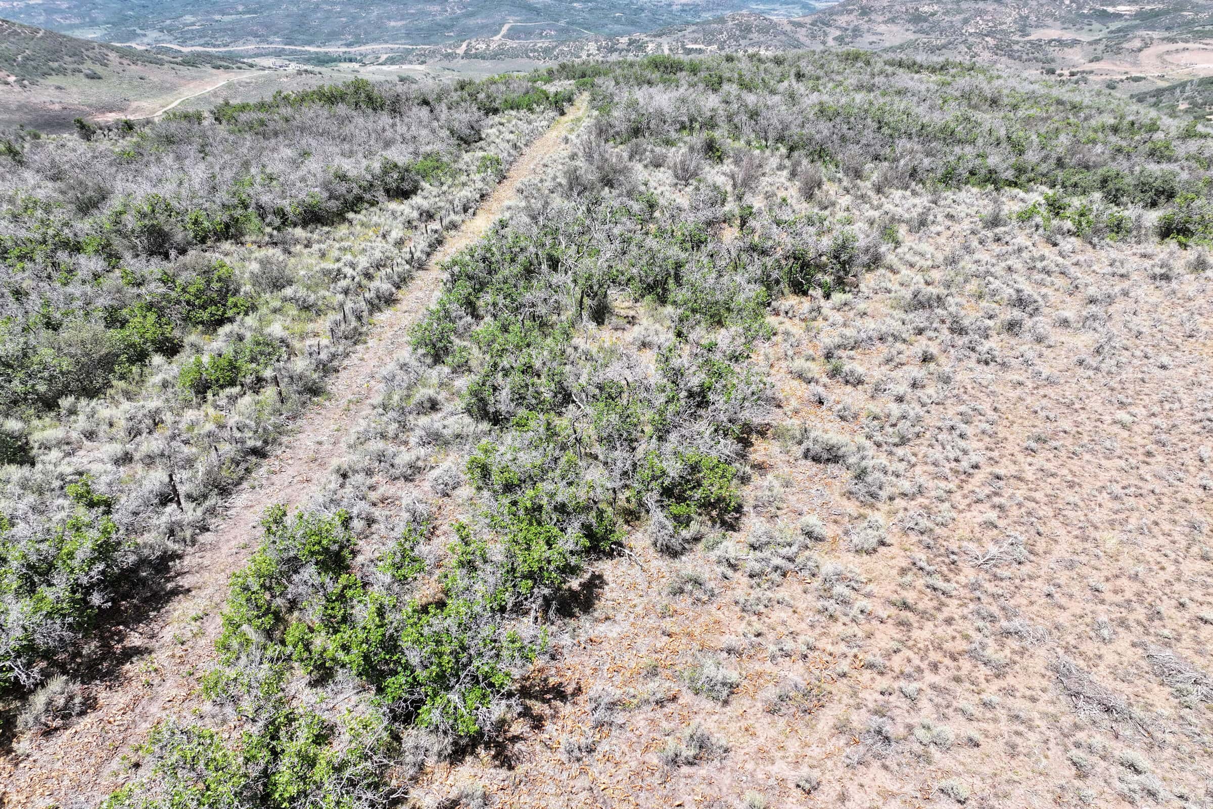 36 Acres in Harrison Creek, Collbran,  CO