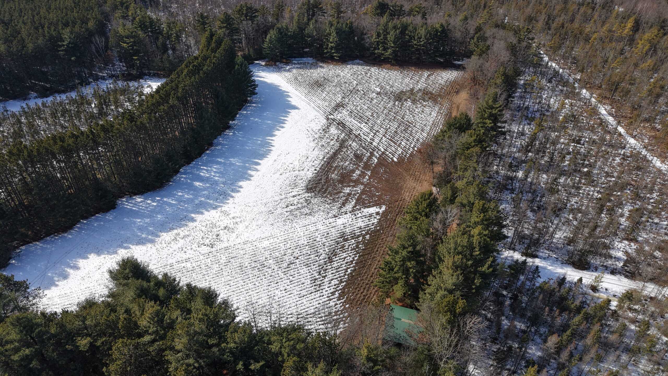 Portage County Wisconsin 80 Acres of Hunting Land for Sale