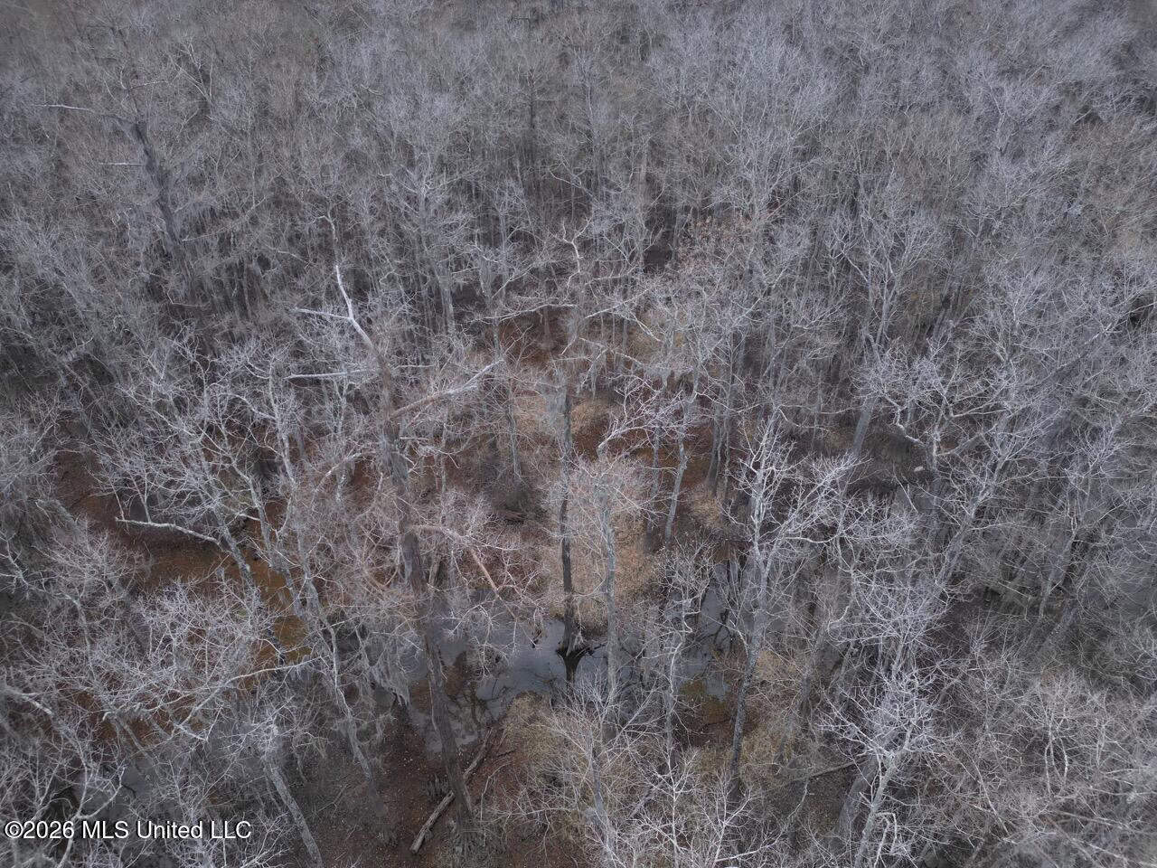 431± Acres with Calcasieu River Frontage in Calcasieu Parish