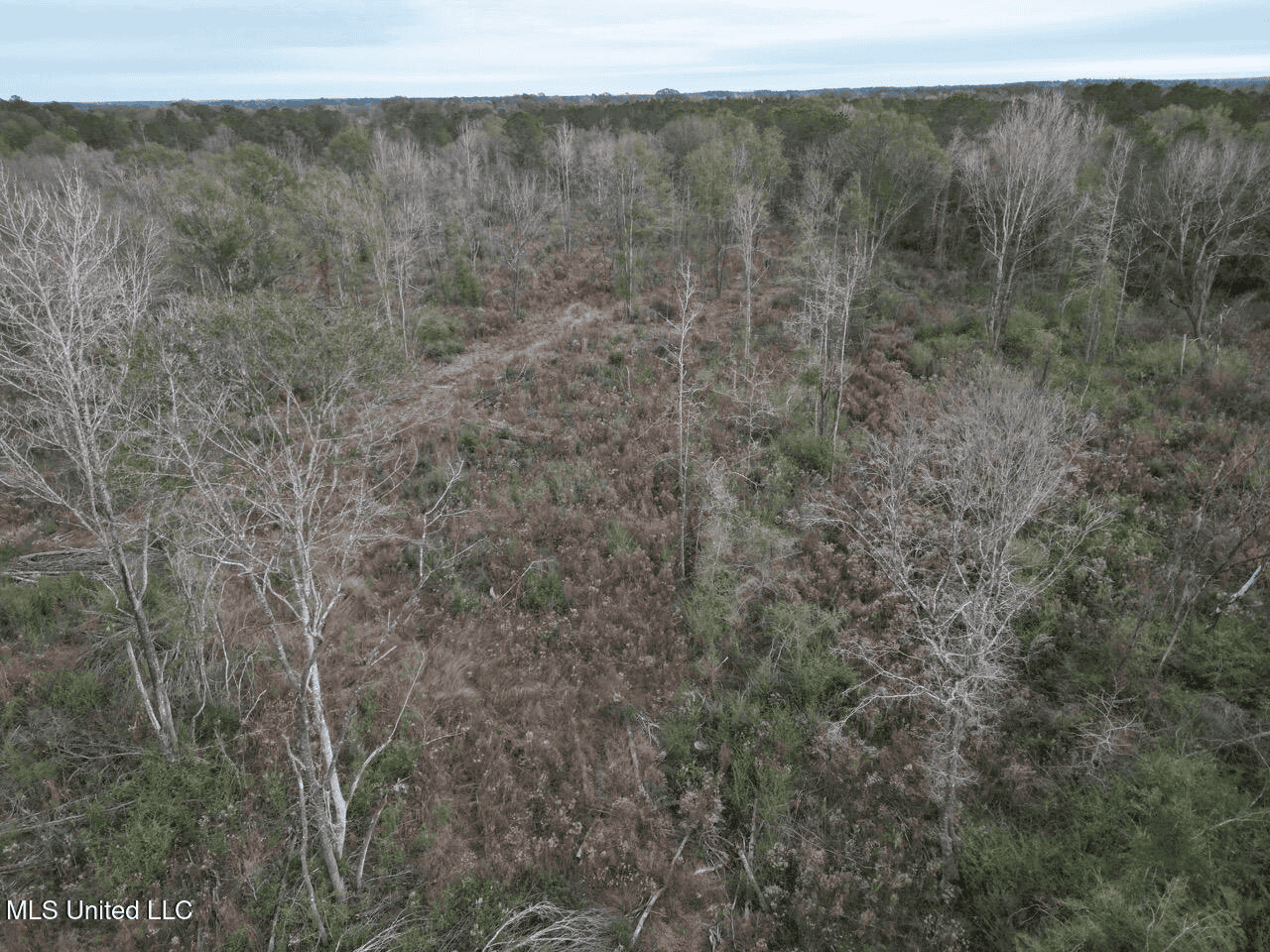 36 Acres in Pike County, Mississippi – Scenic Rural Retreat
