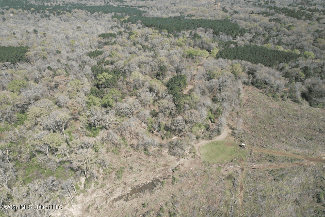 123± Acres Centreville MS on Chance Rd Amite County