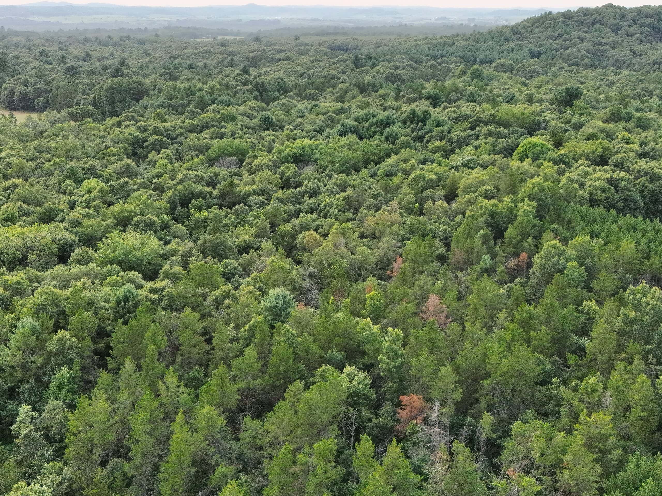 160± acre Monroe County property Located off dead end road,