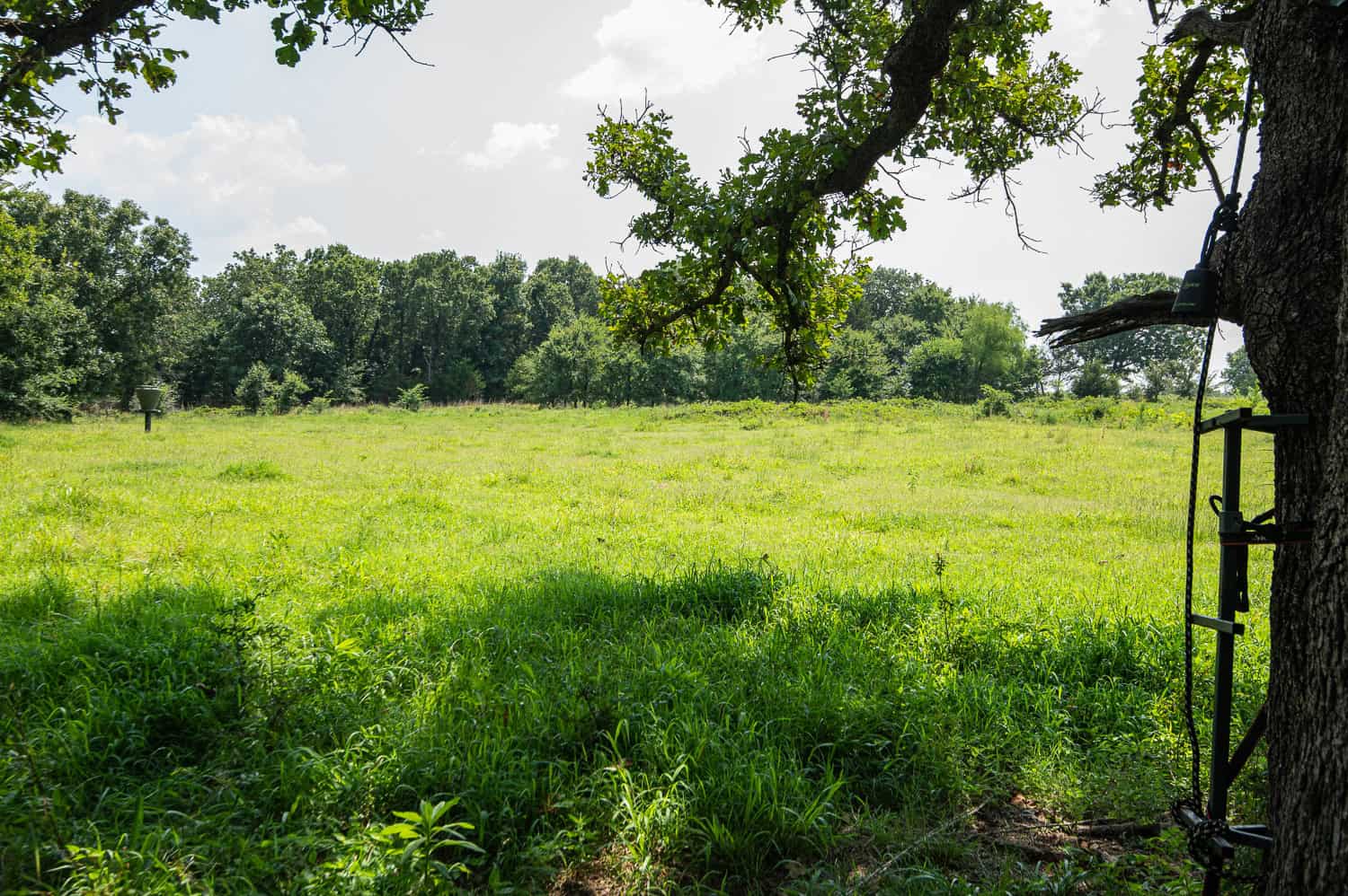 Catcher Ranch: 785 ± Acre Conservation Ranch & Trophy Whitetail Hunting Property Near Stuart, Oklahoma