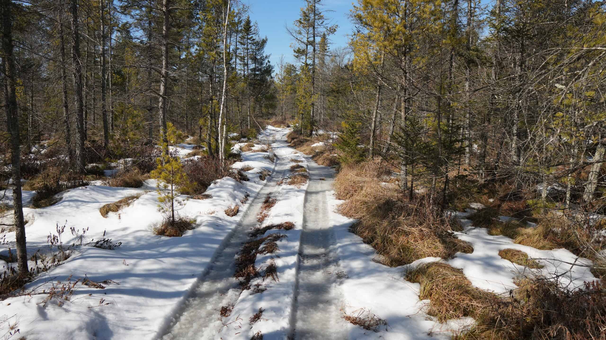 Portage County Wisconsin 80 Acres of Hunting Land for Sale