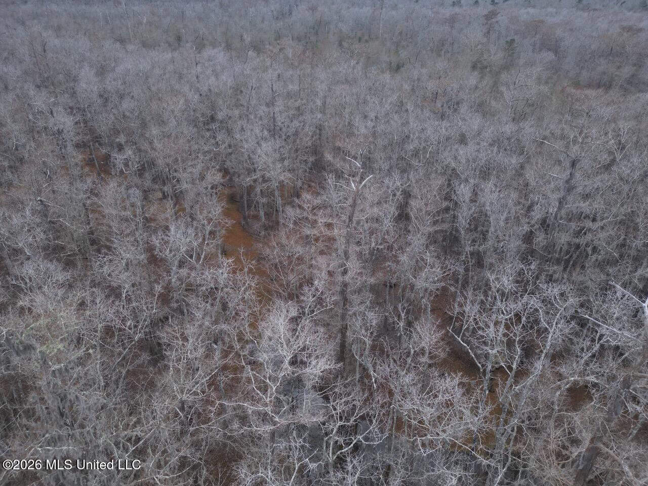 431± Acres with Calcasieu River Frontage in Calcasieu Parish