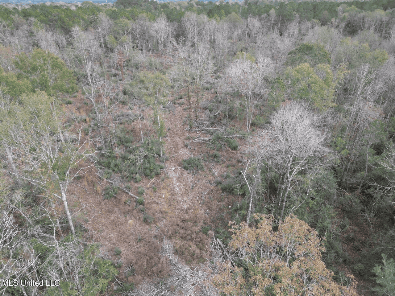 36 Acres in Pike County, Mississippi – Scenic Rural Retreat