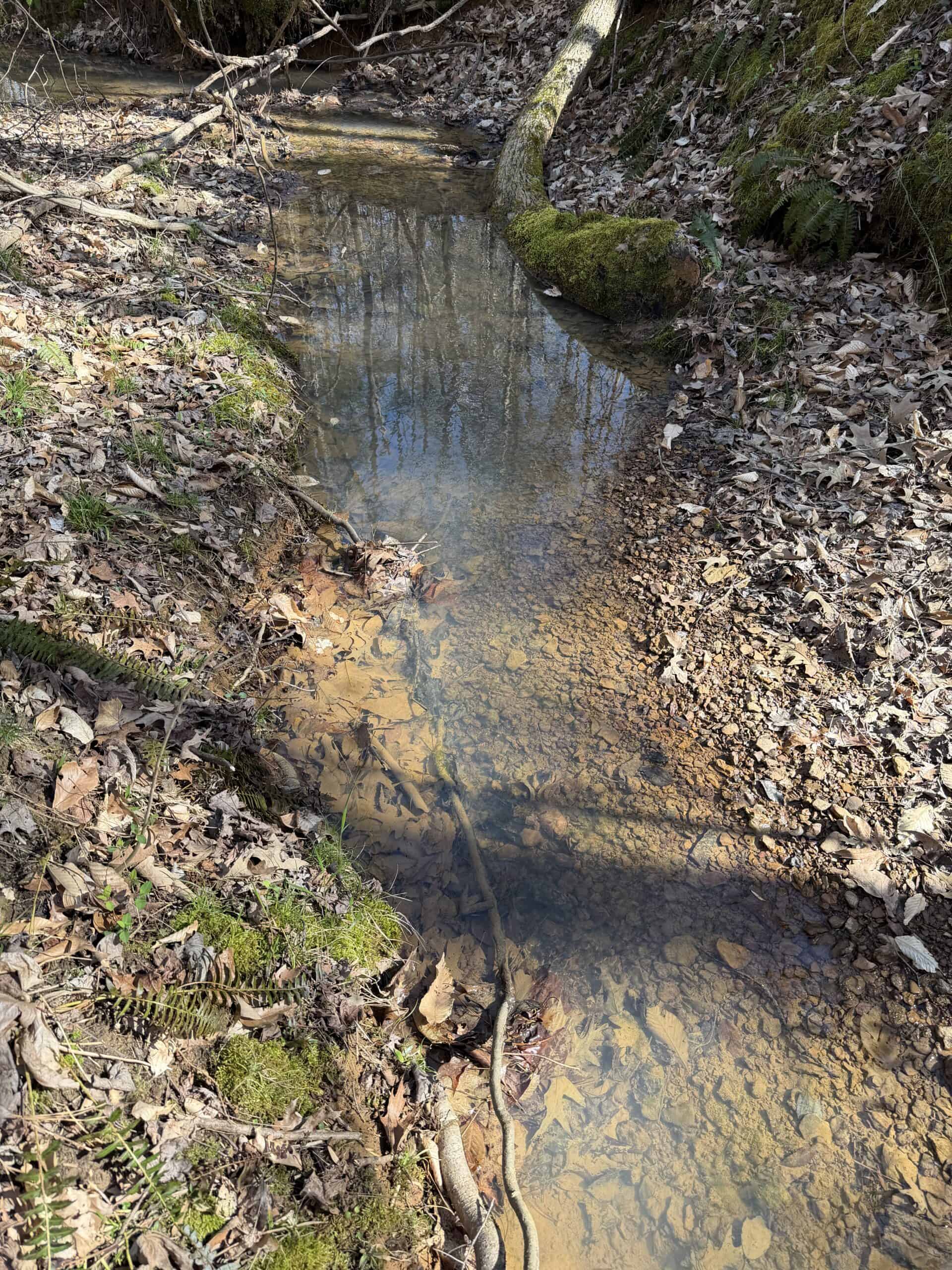 LAND & HOME FOR SALE IN TN, BASEMENT, WELL, CREEK, WOODED