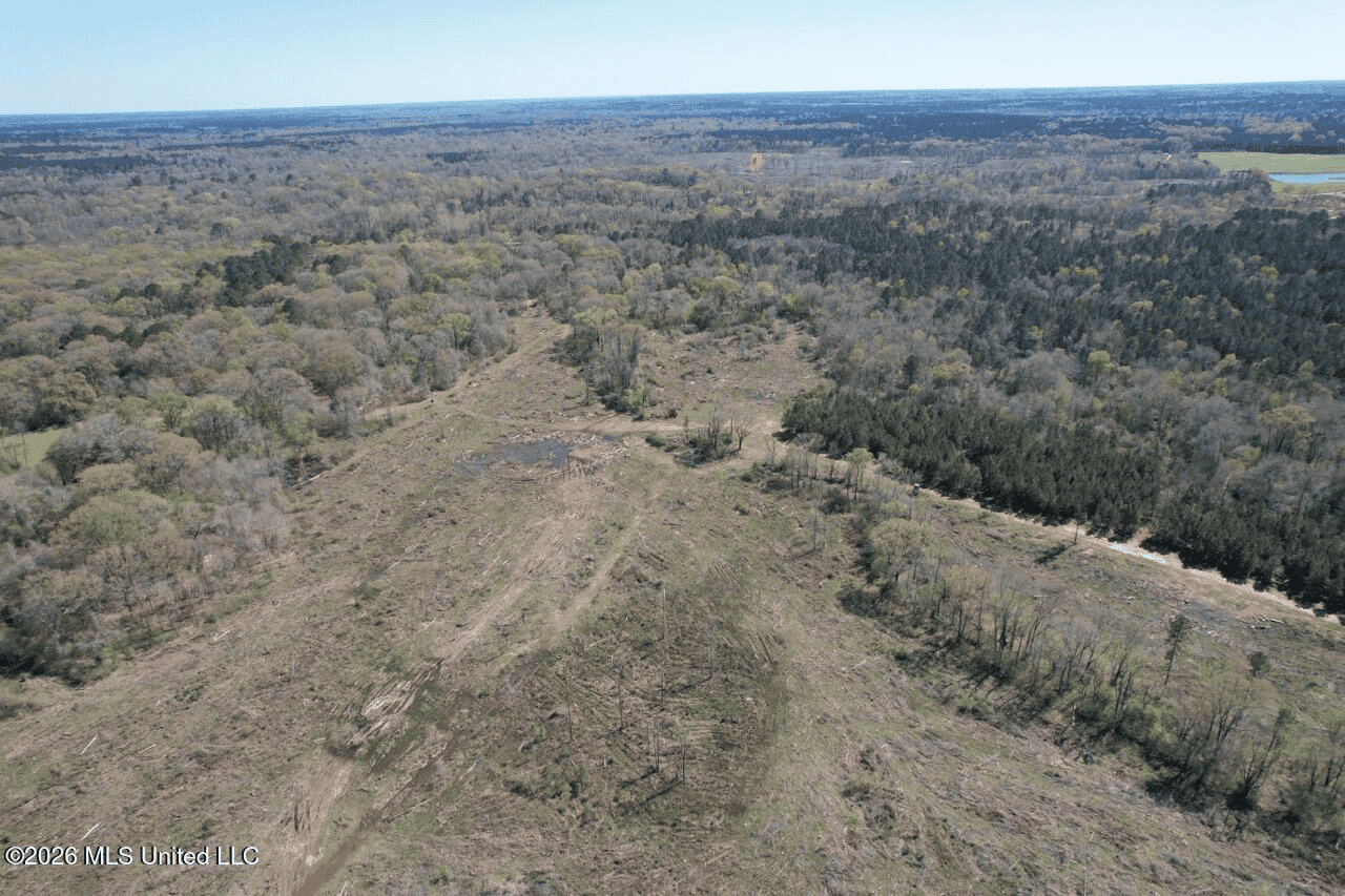 123± Acres Centreville MS on Chance Rd Amite County