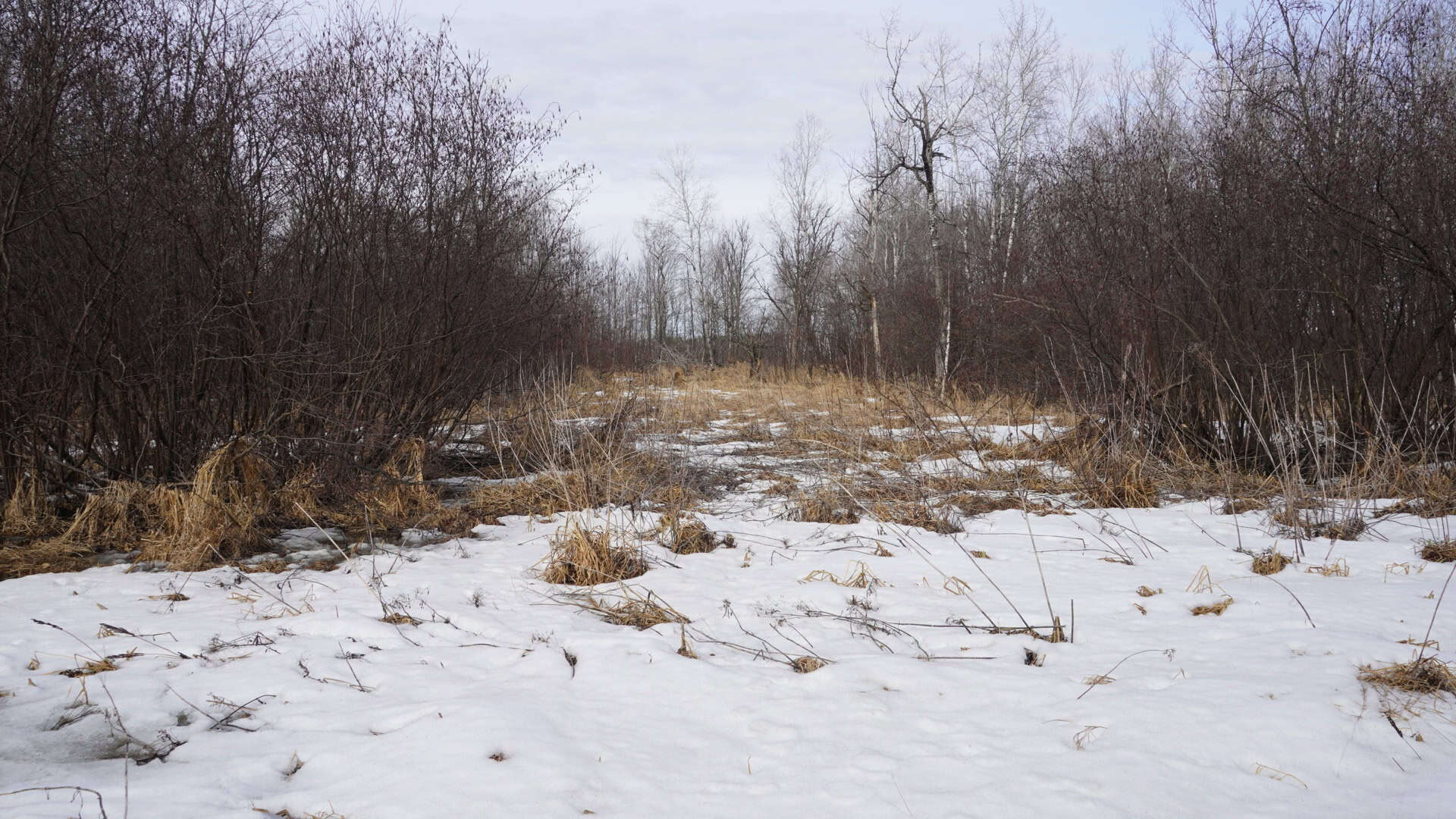 40± acre hunting property outside of Mosinee in Marathon County