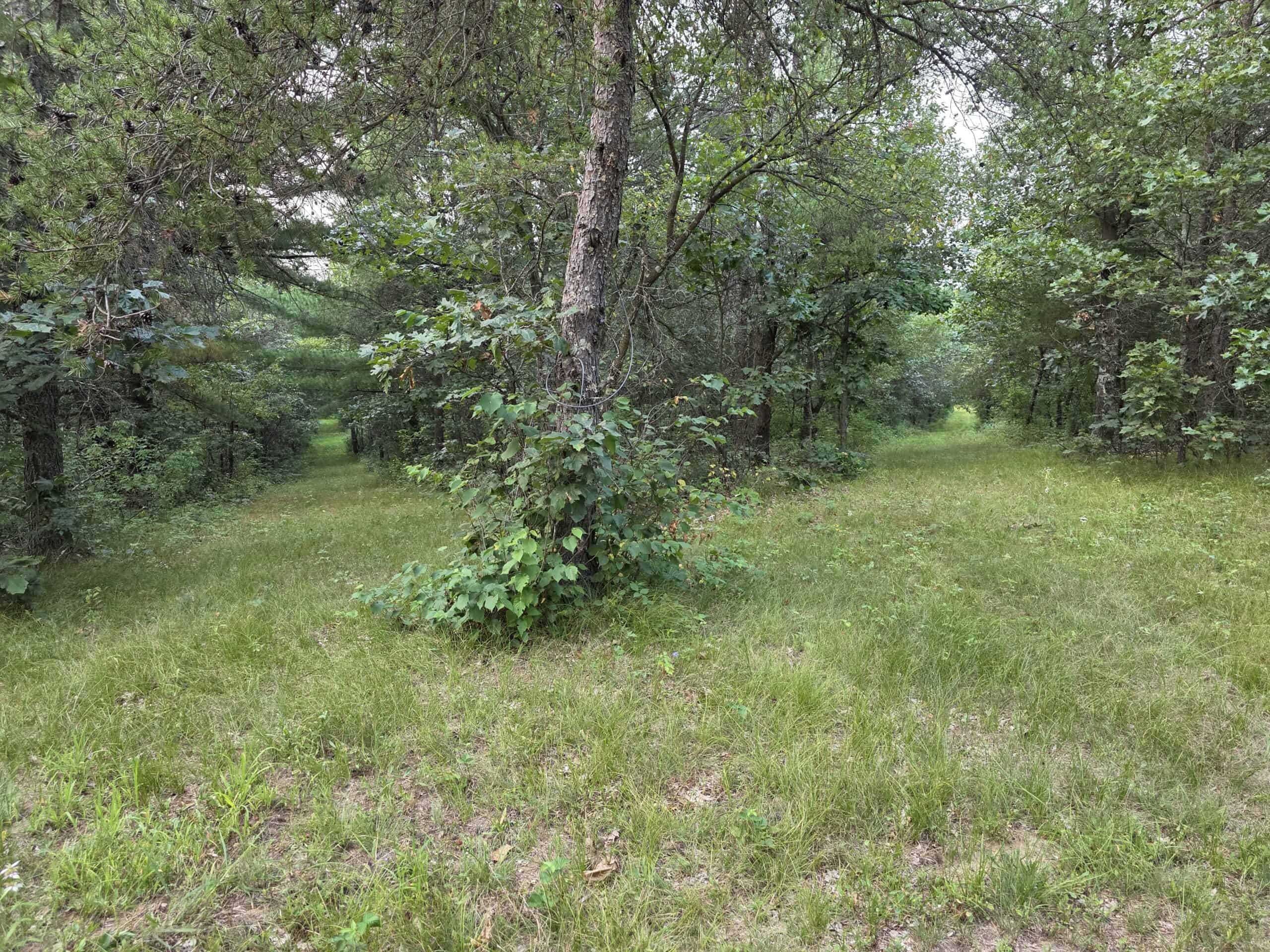 160± acre Monroe County property Located off dead end road,