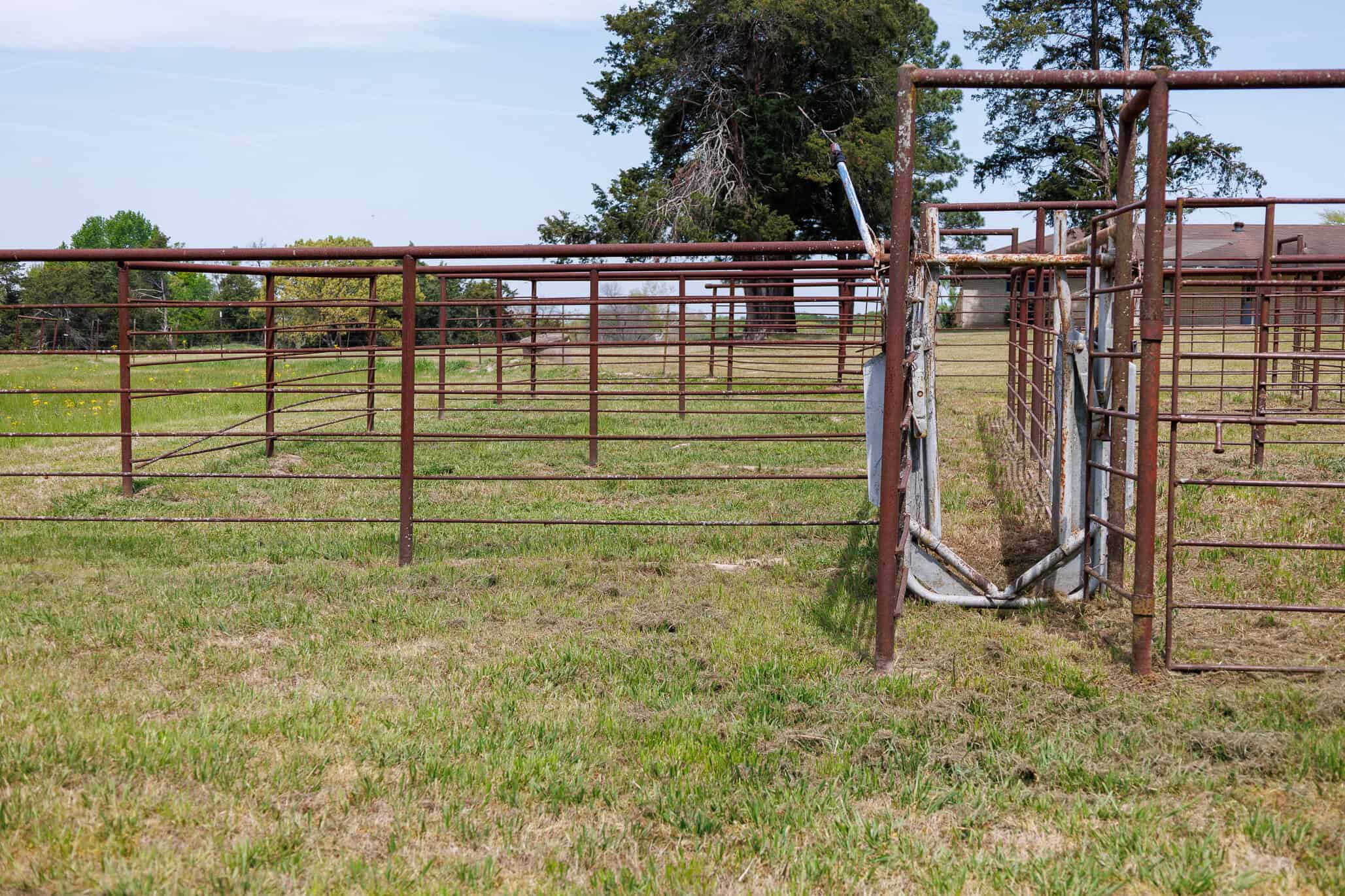 East Texas Recreational Ranch Near Ben Wheeler in Van Zandt County