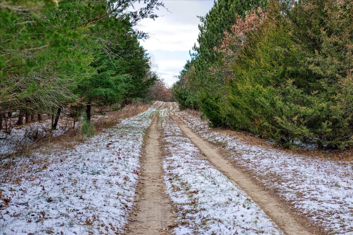 160± acre Monroe County property Located off dead end road,