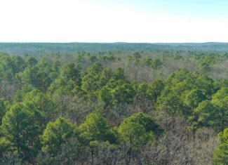Land for Sale in Salem, Missouri – Parcel 2