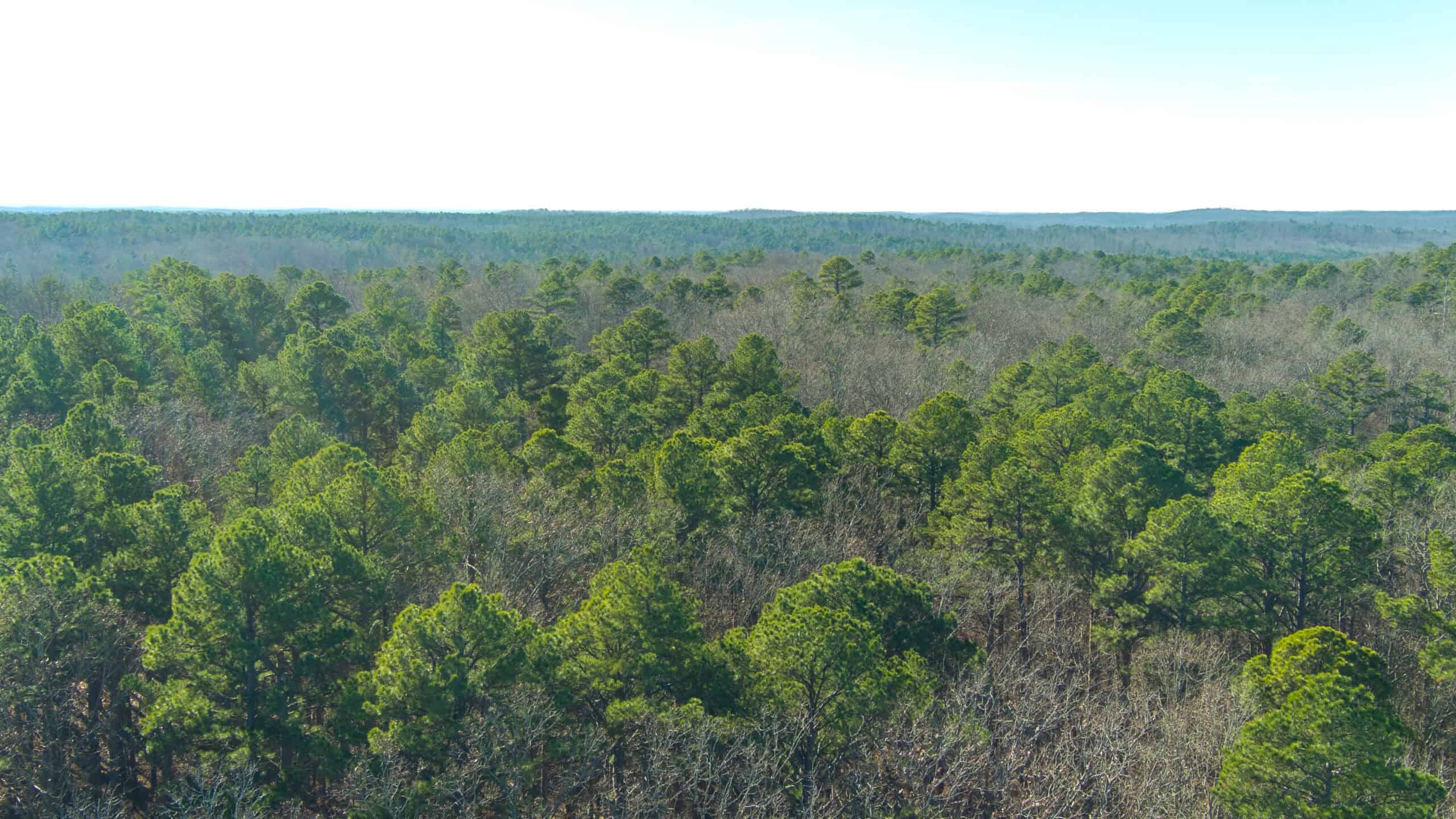 Land for Sale in Salem, Missouri – Parcel 2