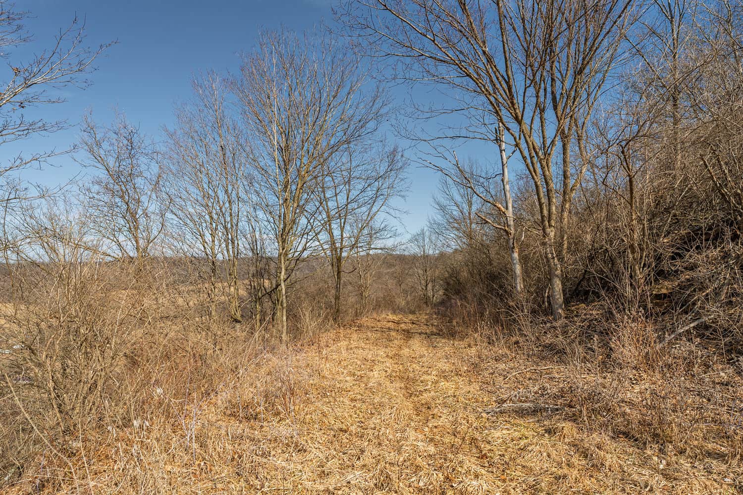 50 Acre Recreational -Hunting Land For Sale Richland County WI