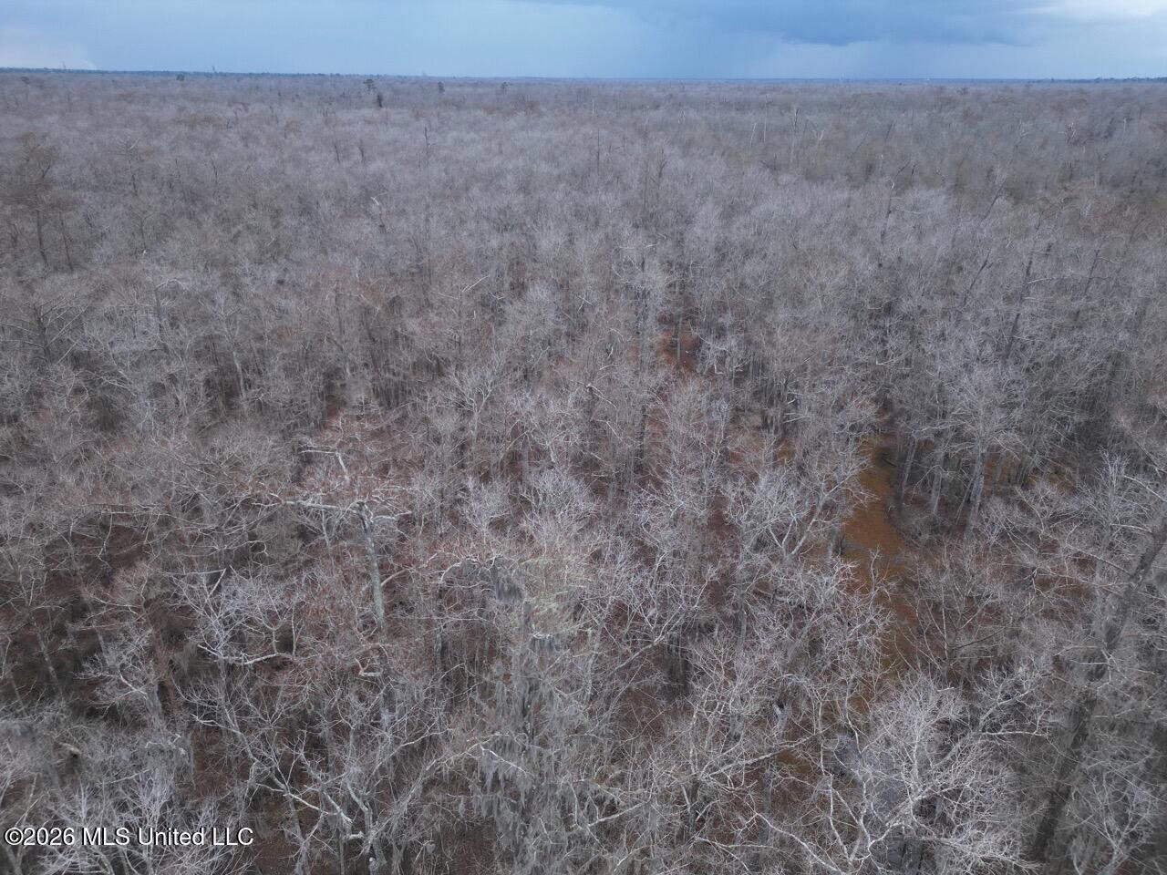 431± Acres with Calcasieu River Frontage in Calcasieu Parish