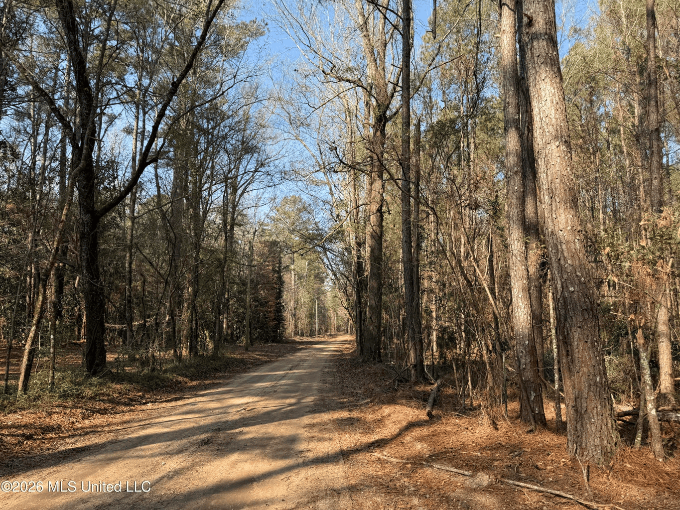 Land for Sale in Simpson County