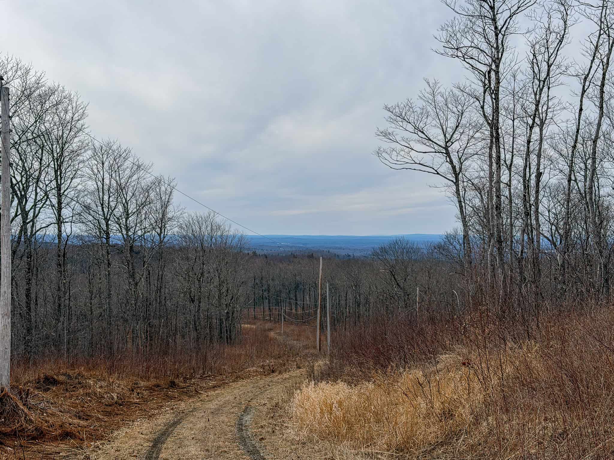 Expansive Mountain-View Acreage with Timber Value & Road Frontage