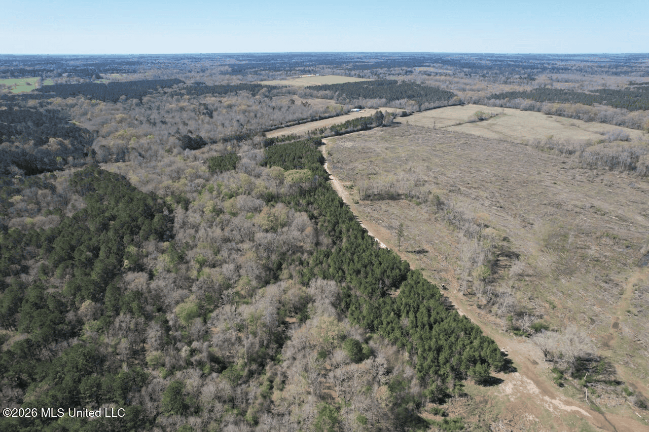 123± Acres Centreville MS on Chance Rd Amite County