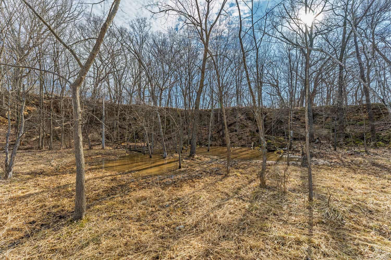 50 Acre Recreational -Hunting Land For Sale Richland County WI
