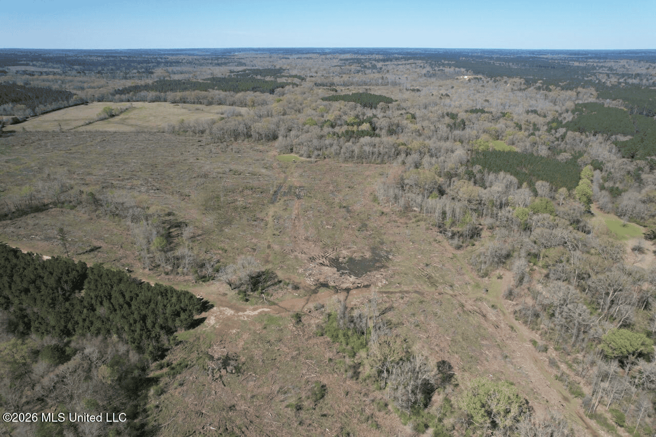 123± Acres Centreville MS on Chance Rd Amite County
