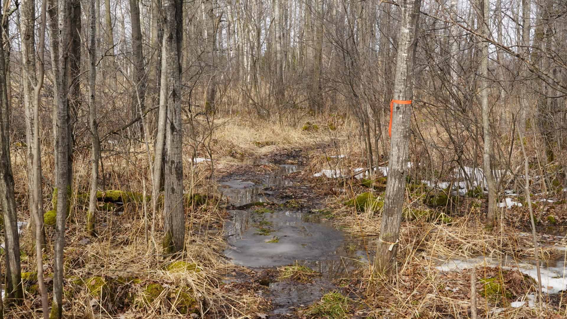 40± acre hunting property outside of Mosinee in Marathon County