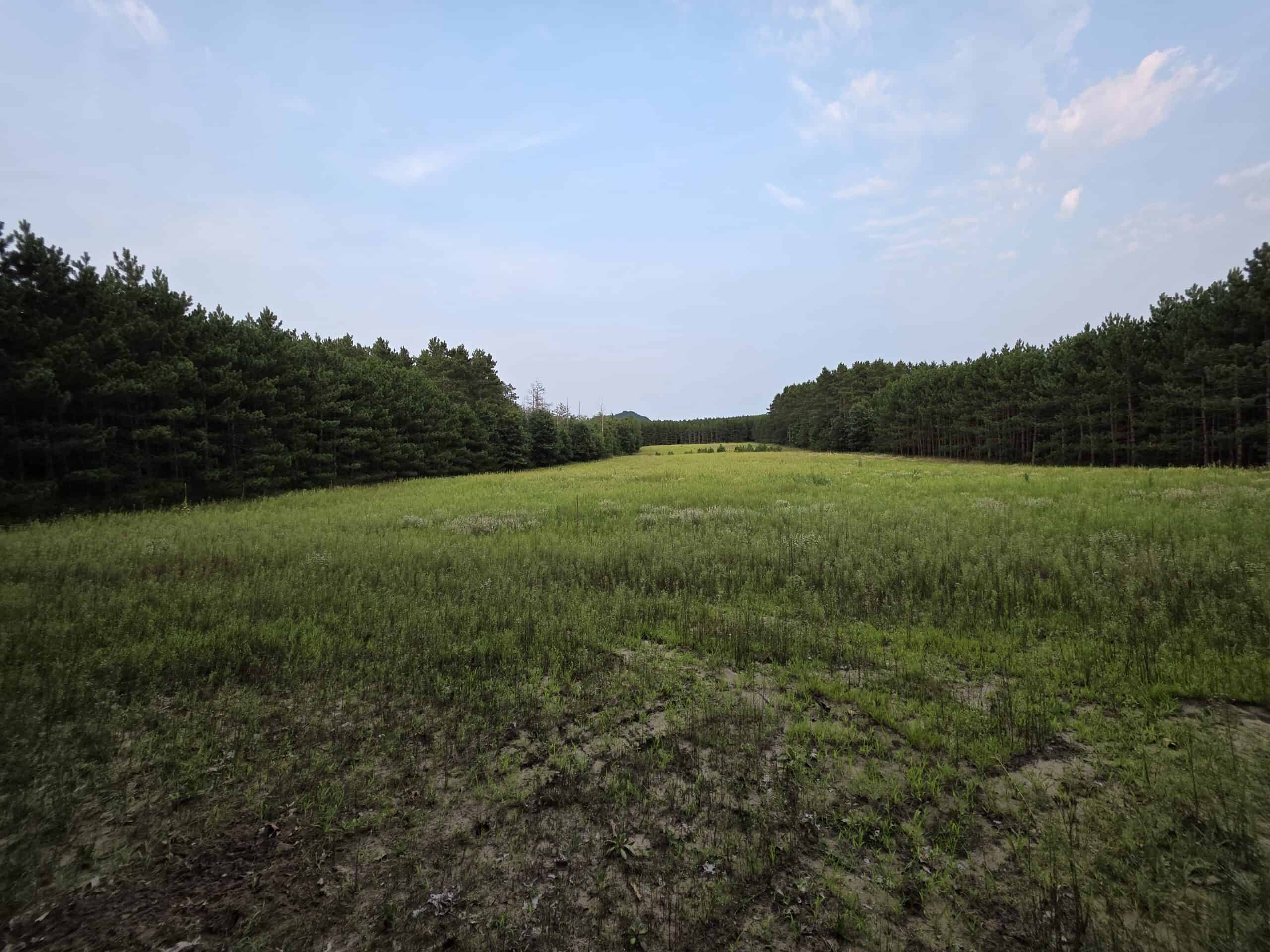 160± acre Monroe County property Located off dead end road,