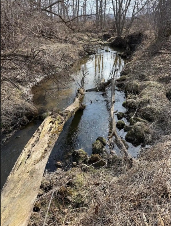 40-Acre Recreational Hunting Tract in Central Monroe County