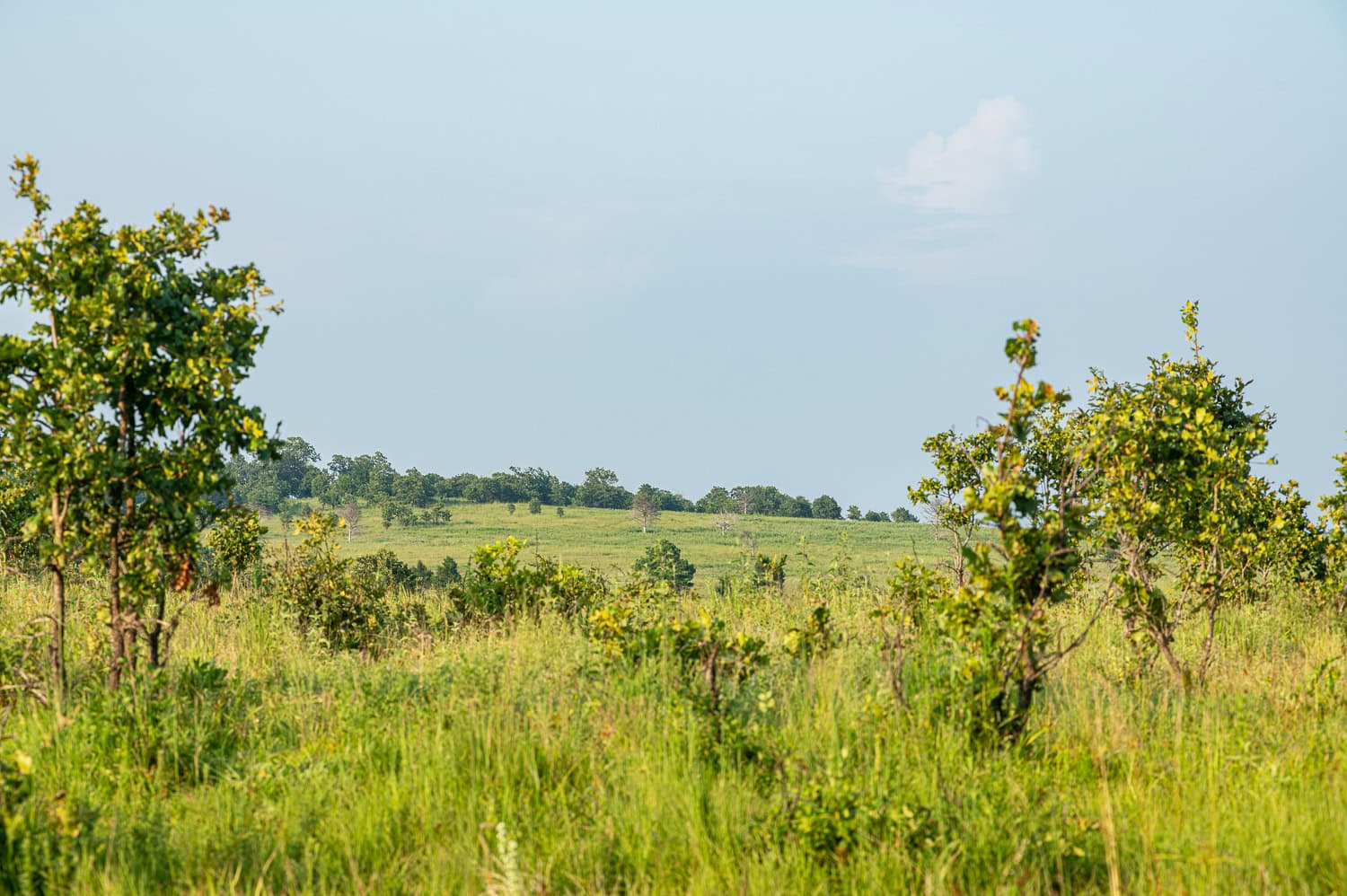Catcher Ranch: 785 ± Acre Conservation Ranch & Trophy Whitetail Hunting Property Near Stuart, Oklahoma