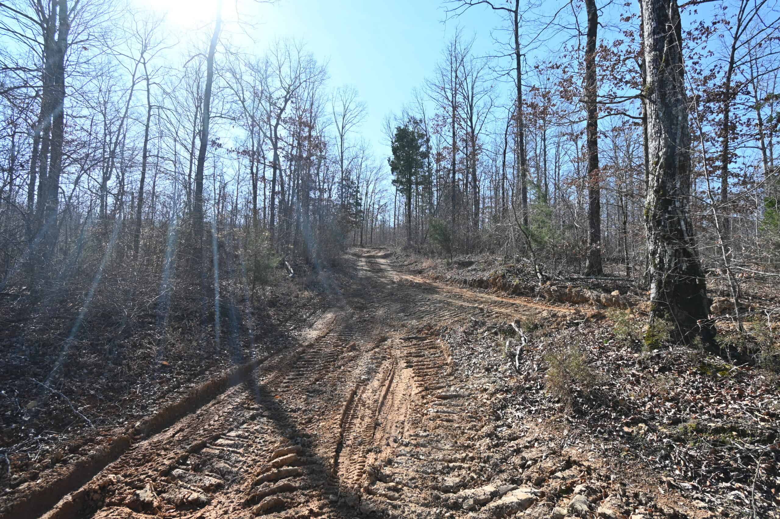 107.63 Acres For Sale in Middle Tennessee!