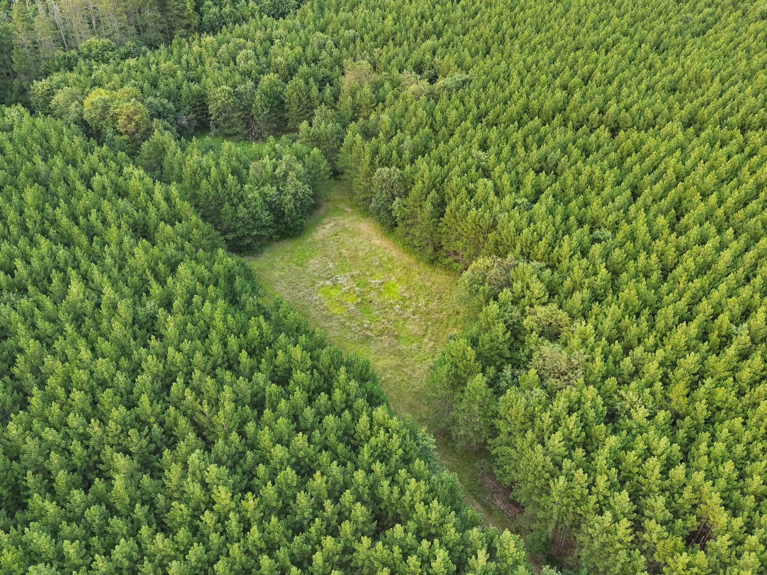 160± acre Monroe County property Located off dead end road,