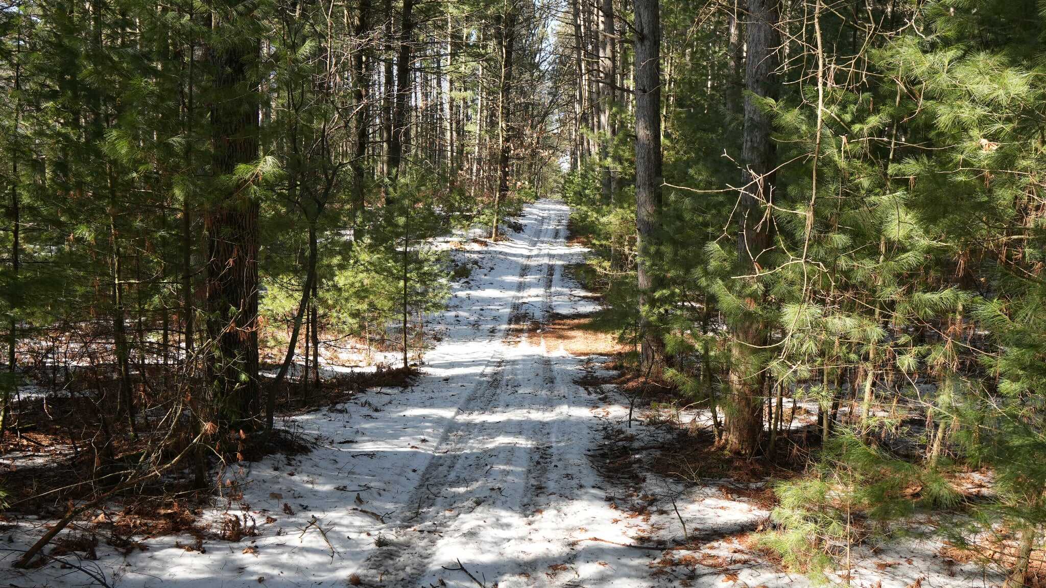 Portage County Wisconsin 80 Acres of Hunting Land for Sale