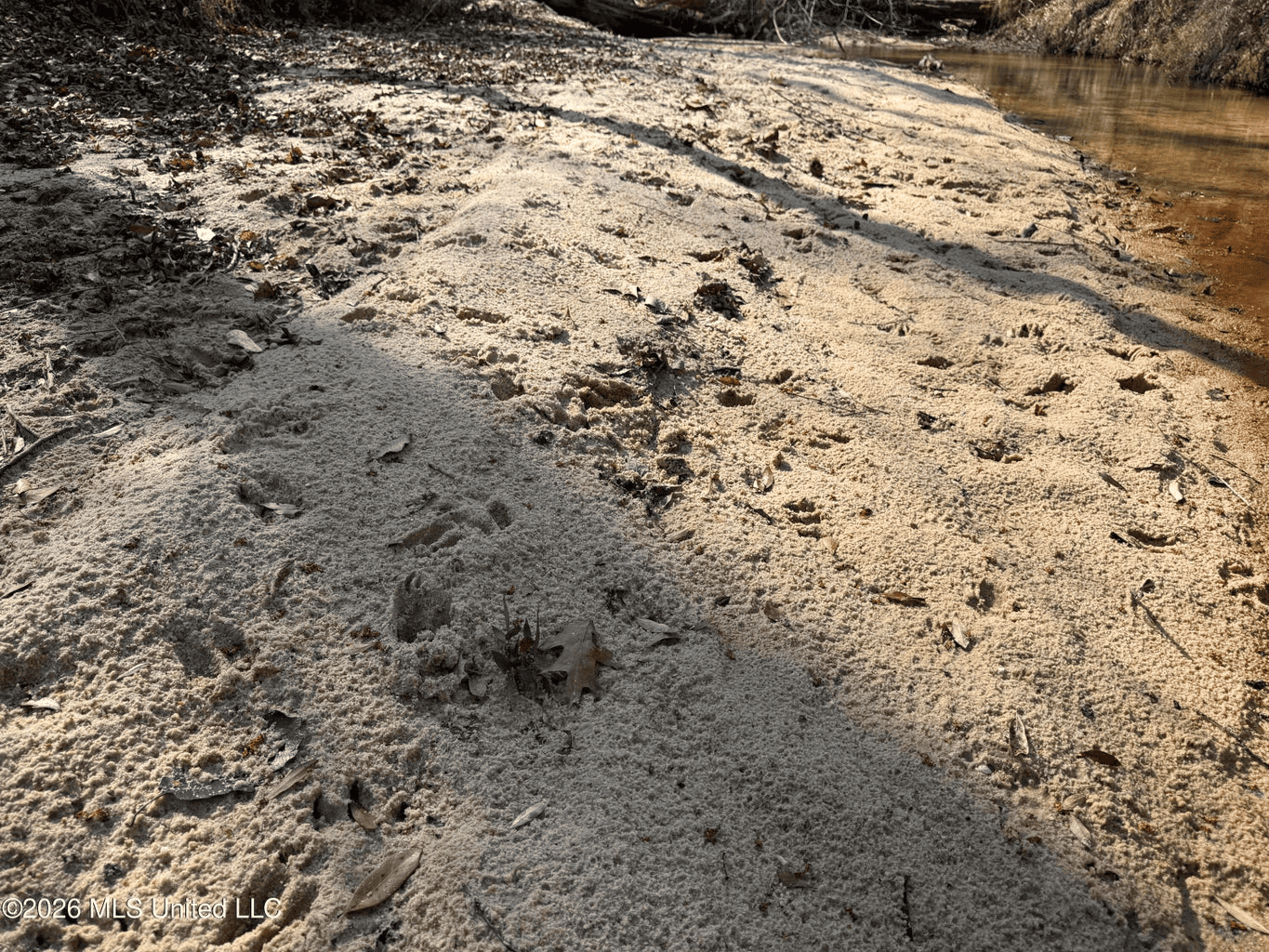 Land for Sale in Simpson County