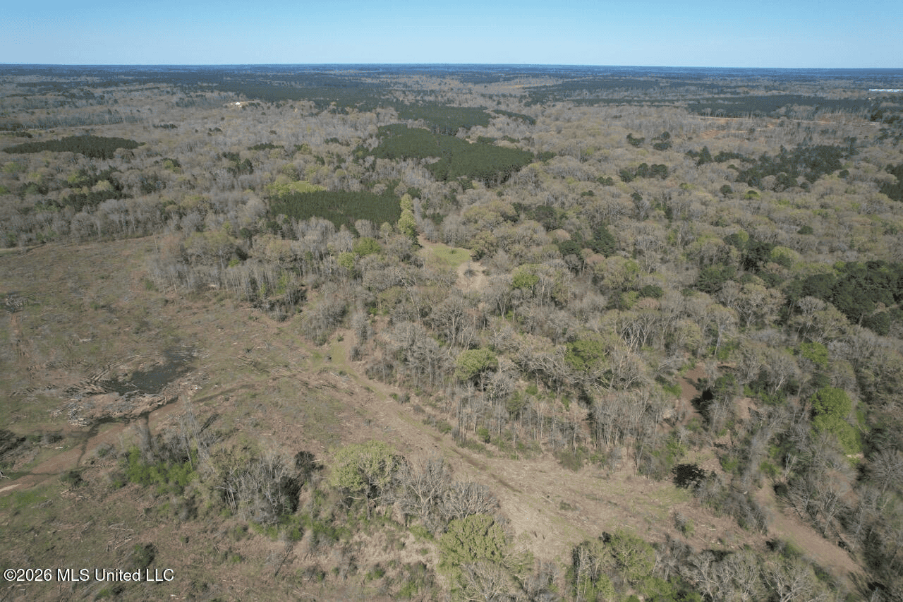 123± Acres Centreville MS on Chance Rd Amite County