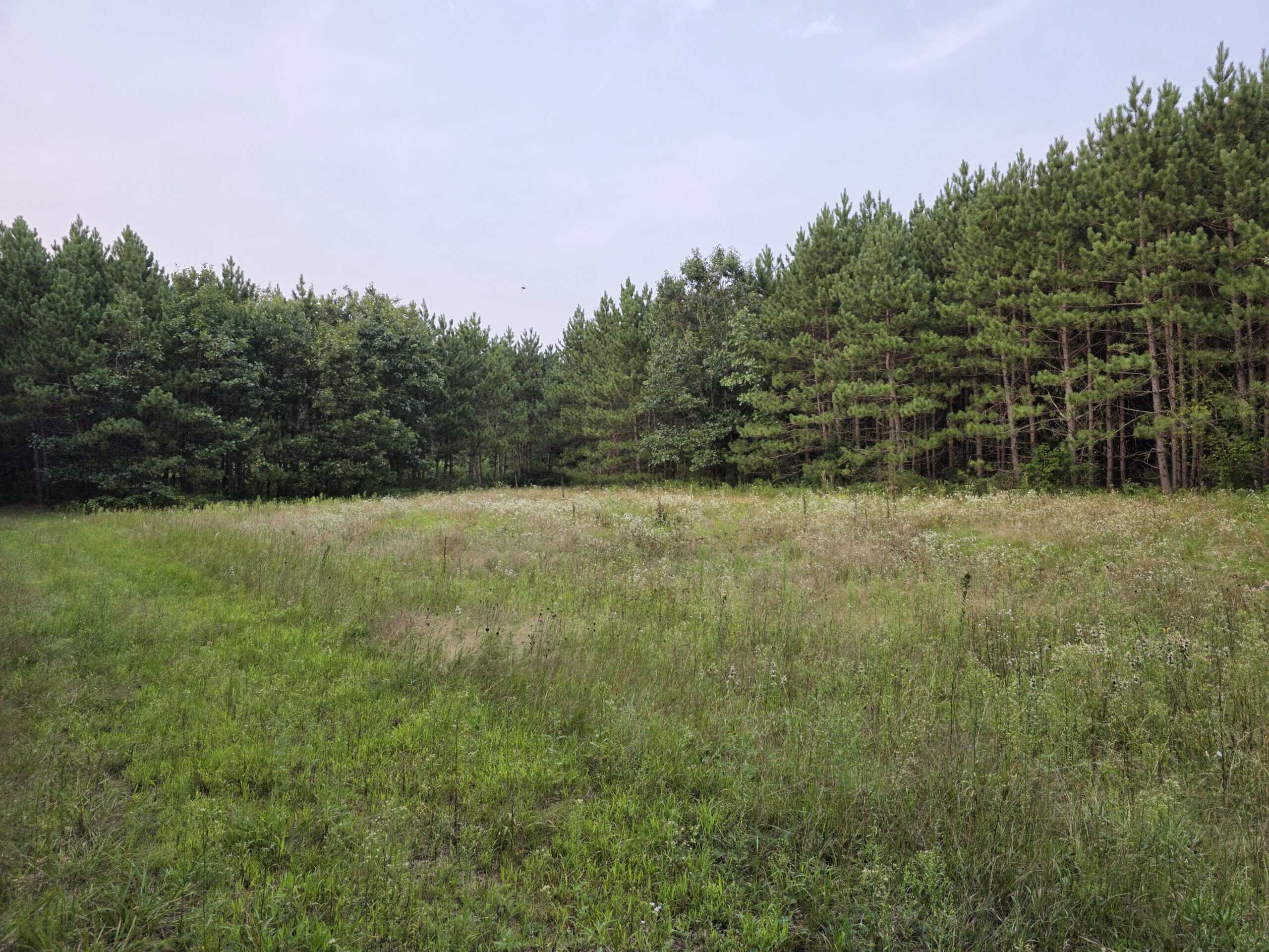 160± acre Monroe County property Located off dead end road,