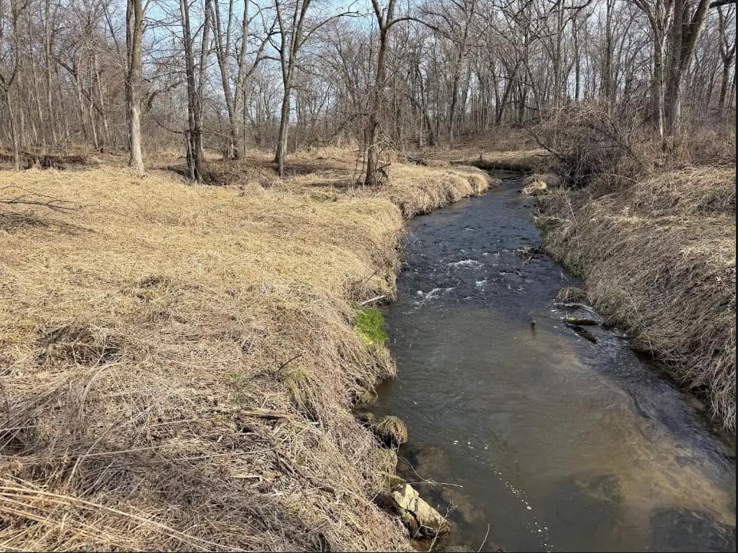 40-Acre Recreational Hunting Tract in Central Monroe County