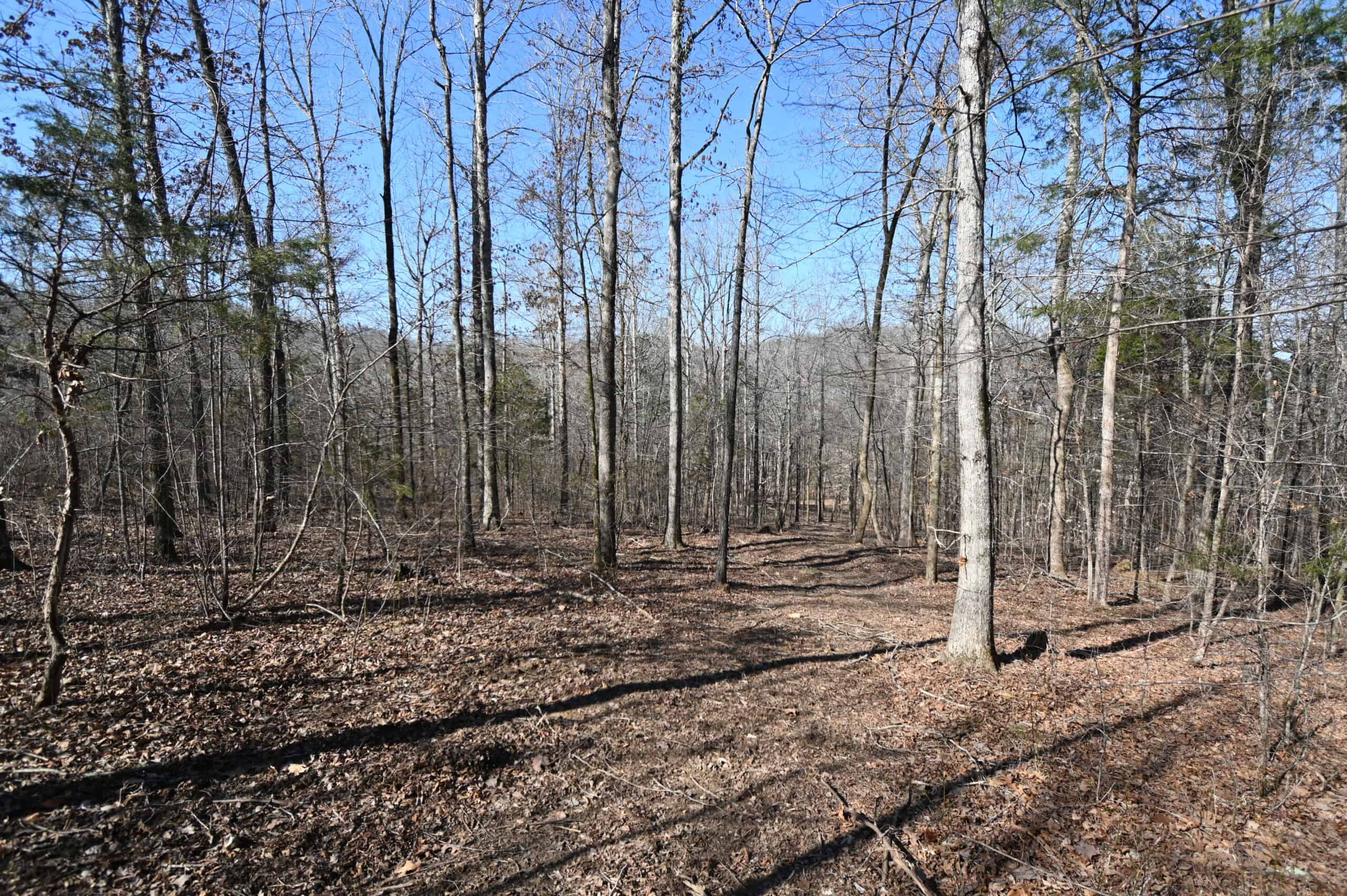 107.63 Acres For Sale in Middle Tennessee!