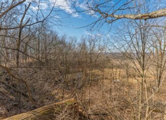 50 Acre Recreational -Hunting Land For Sale Richland County WI
