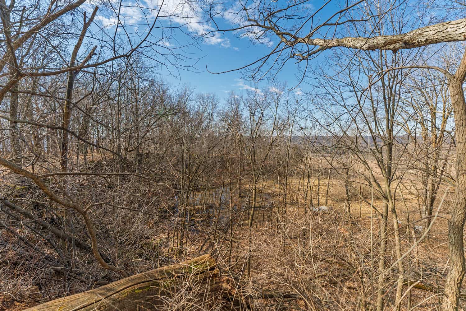 50 Acre Recreational -Hunting Land For Sale Richland County WI