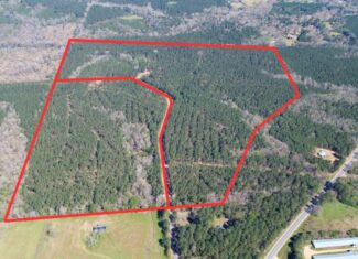 Northeast Lincoln Parish Timberland for Sale